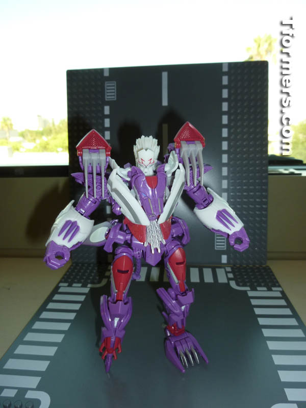 トランスフォーマー　限定　BOTCON 2014 ナイトフレアアップ トランスフォーマー 限定 BOTCON 2014 ナイトフレアアップ